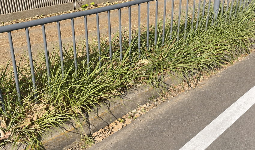 兵庫県神戸市の作業後